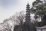 塔