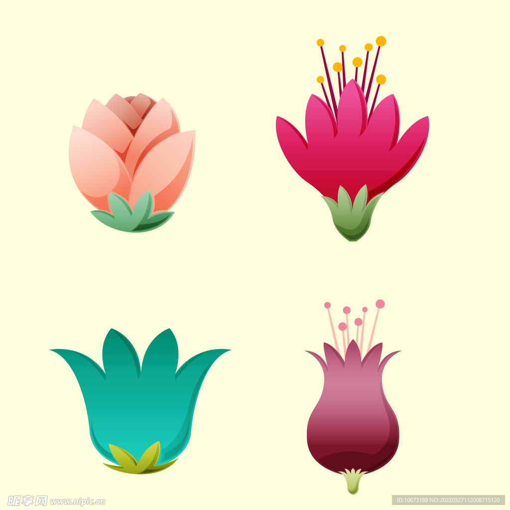 各种花朵手绘