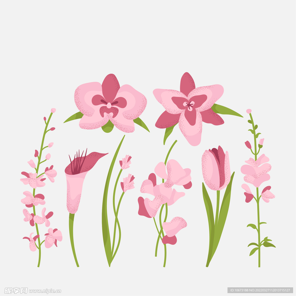 各种花朵手绘 