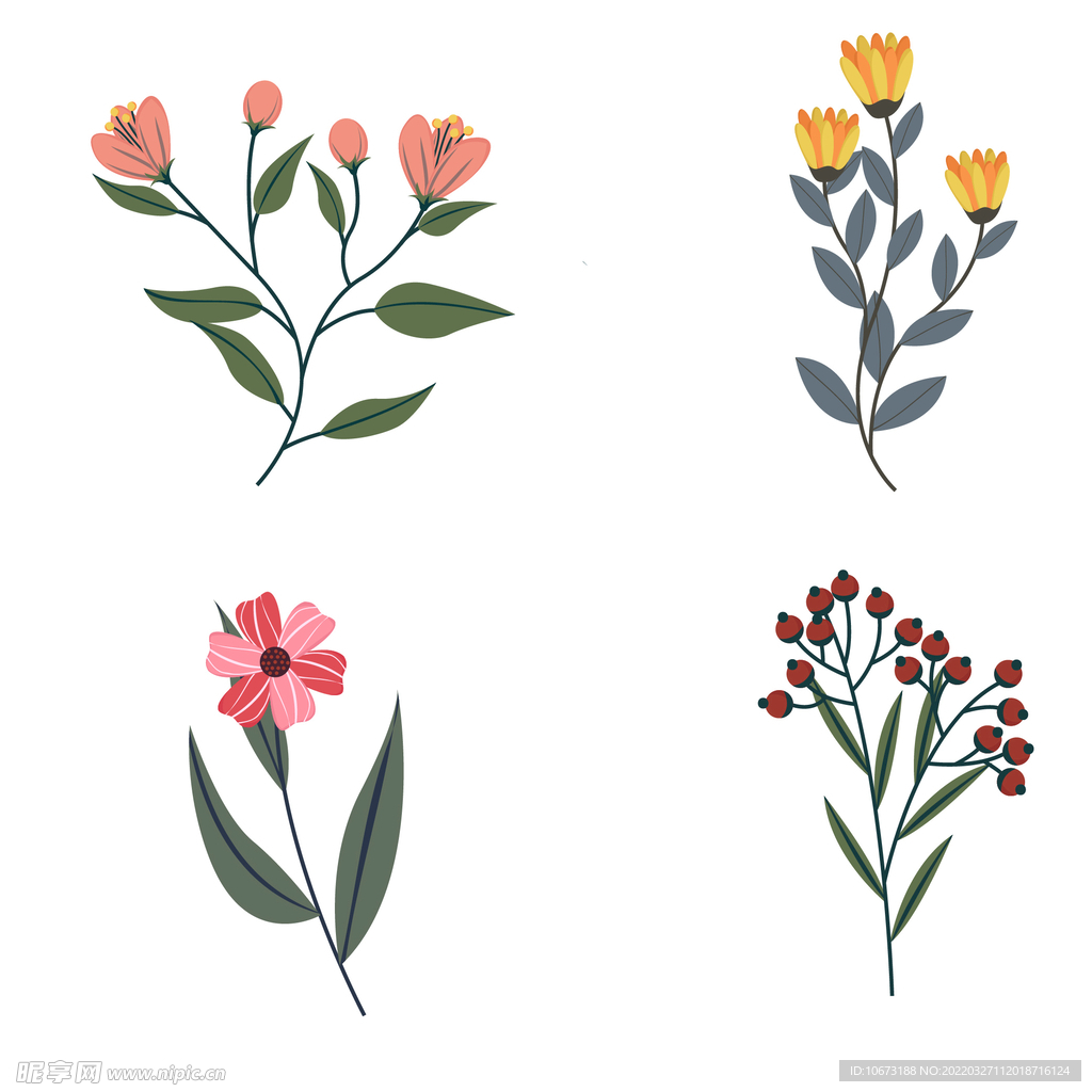 各种花朵手绘