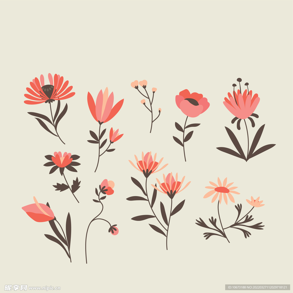 各种花朵手绘