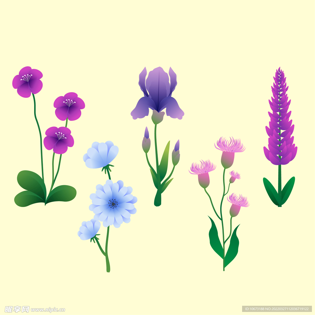 各种花朵手绘 