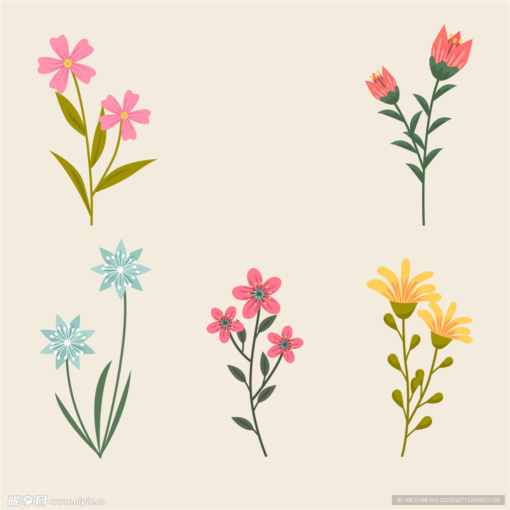 各种花朵手绘