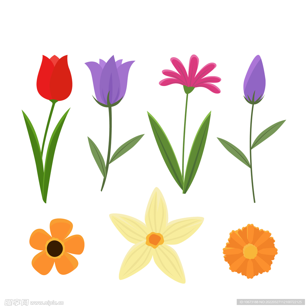 各种花朵手绘 