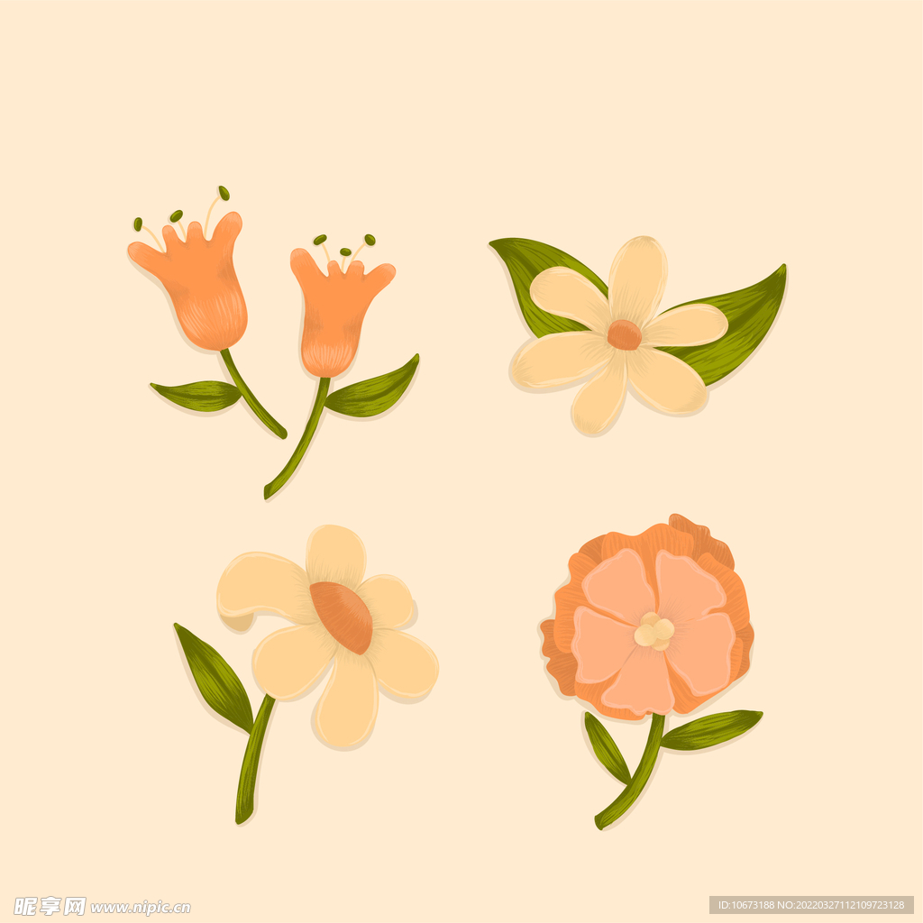 各种花朵手绘 