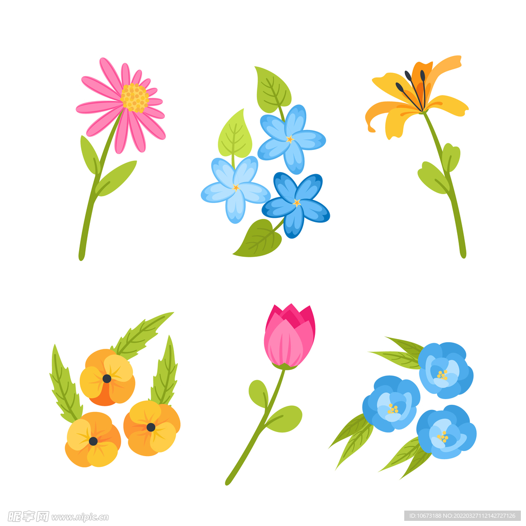 各种花朵手绘