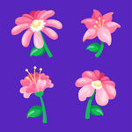 各种花朵手绘