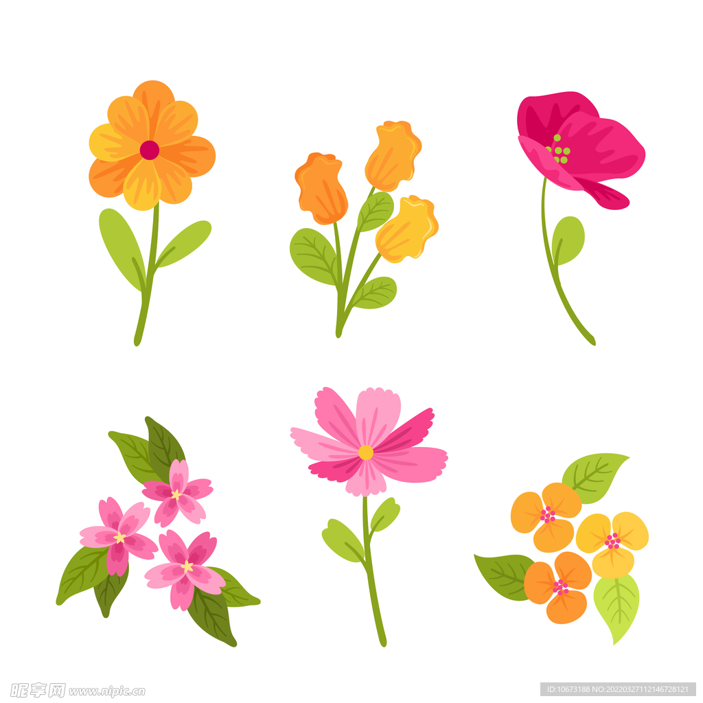 各种花朵手绘