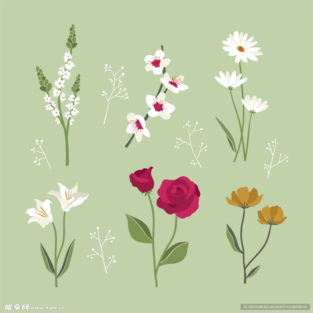 各种花朵手绘