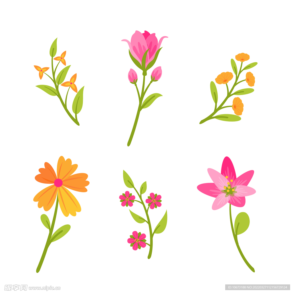 各种花朵手绘