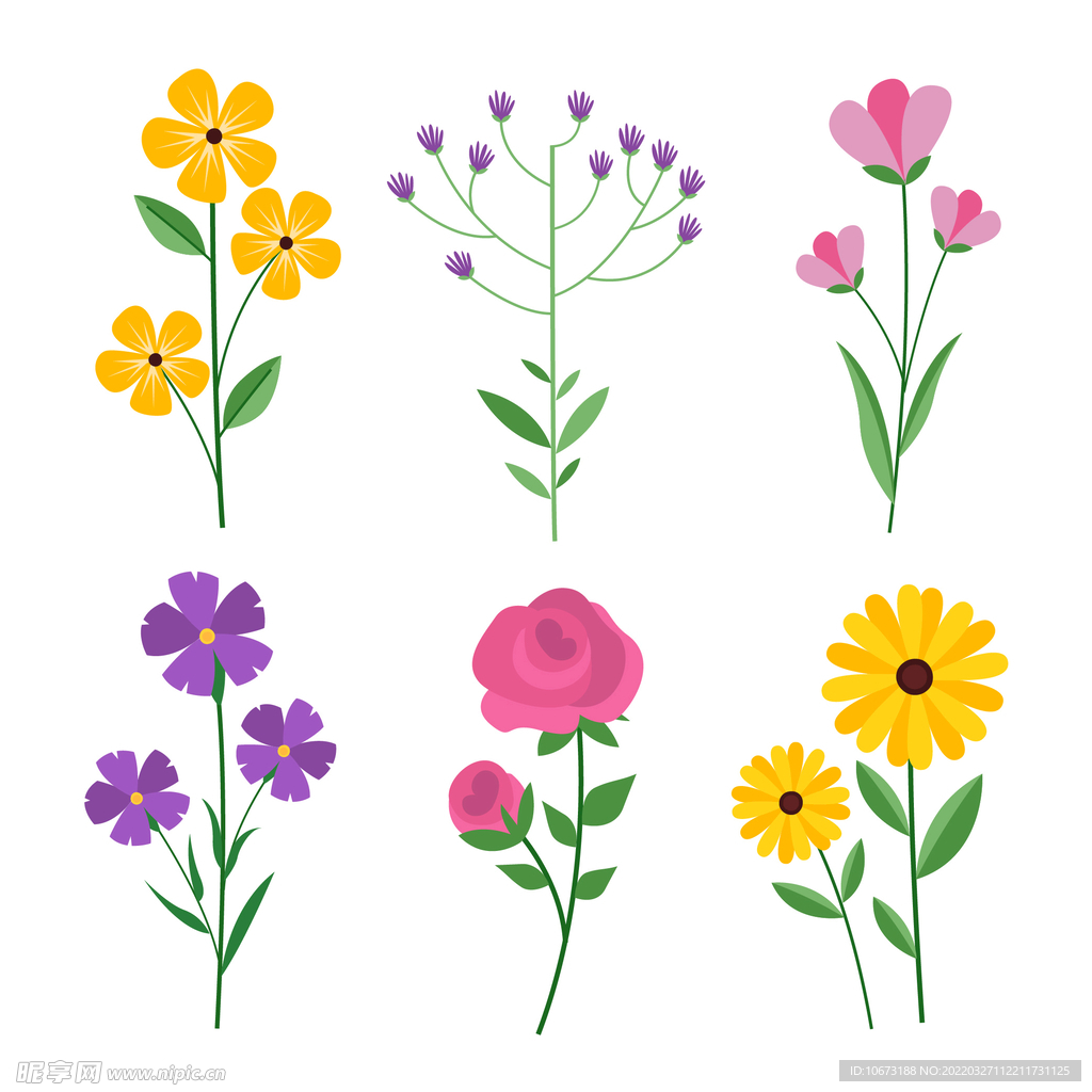 各种花朵手绘