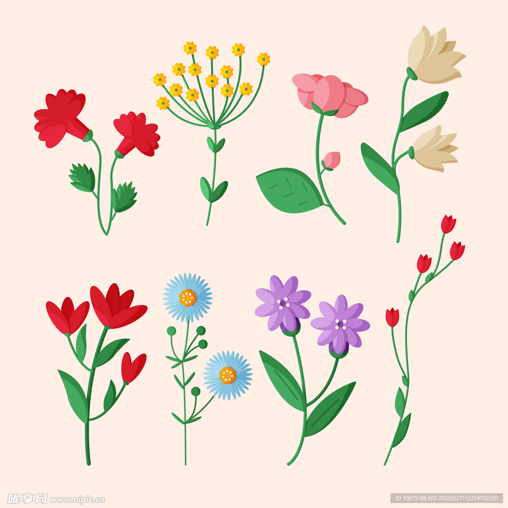 各种花朵手绘