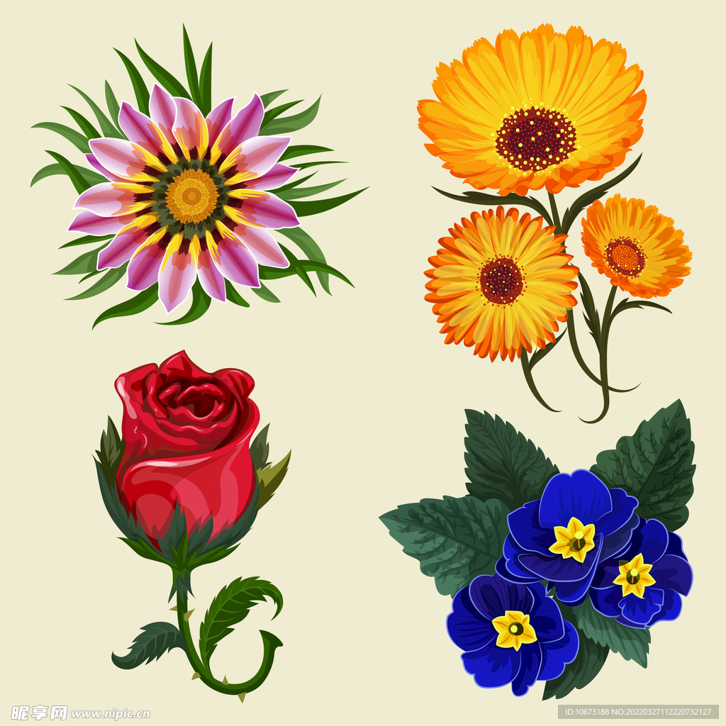 各种花朵手绘