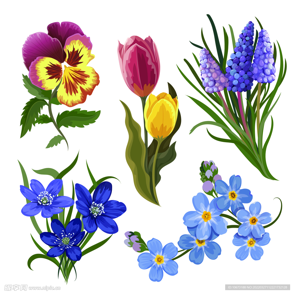 各种花朵手绘