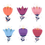 各种花朵手绘
