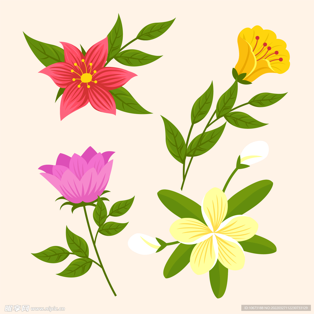 各种花朵手绘