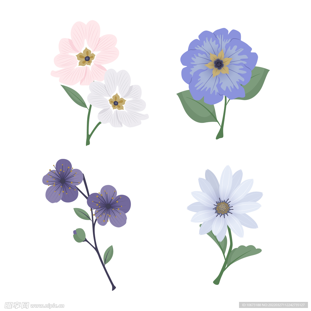 各种花朵手绘