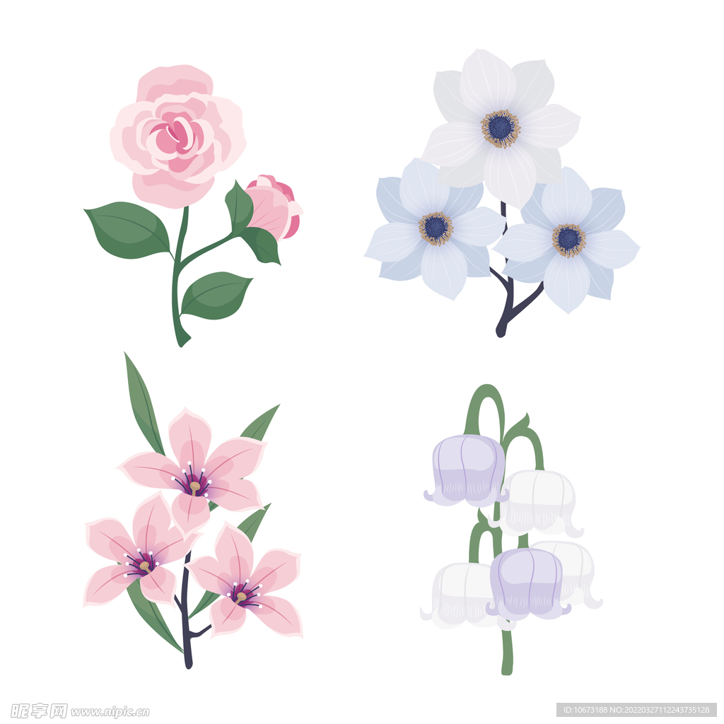 各种花朵手绘
