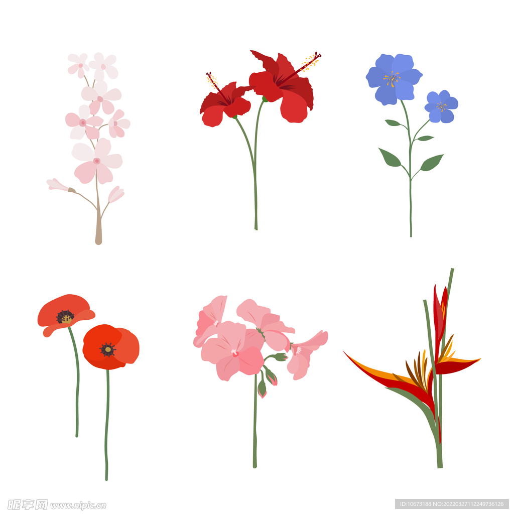 各种花朵手绘