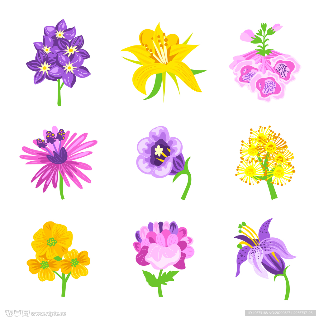 各种花朵手绘