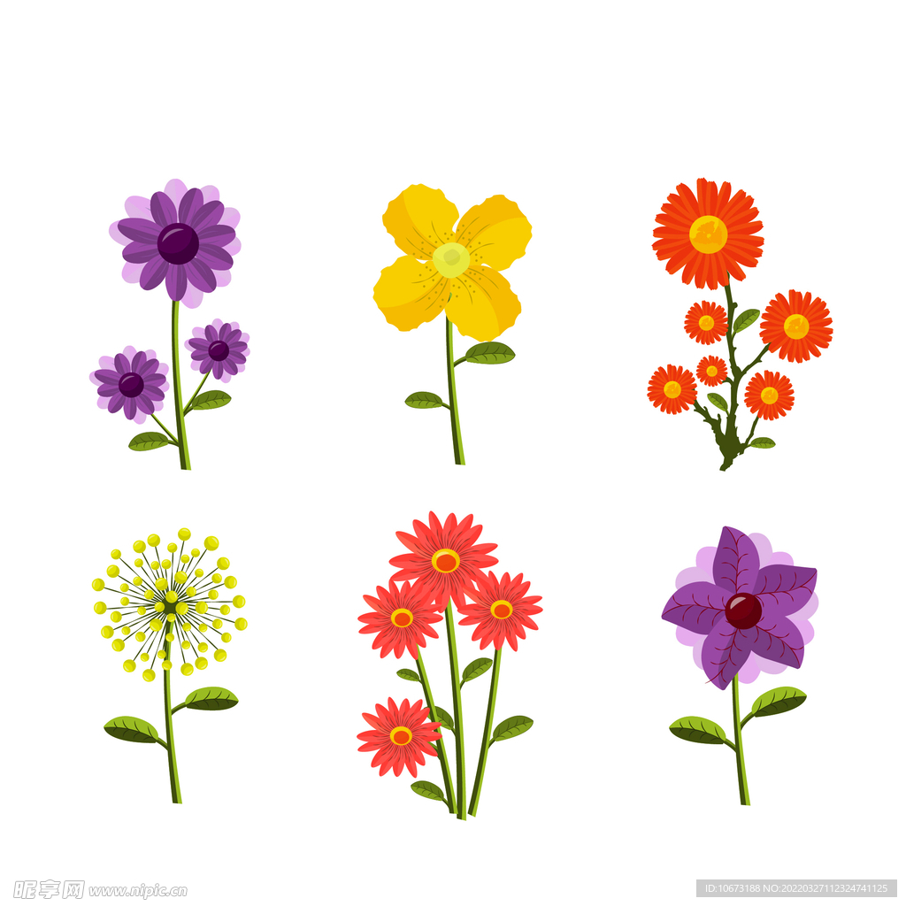 各种花朵手绘