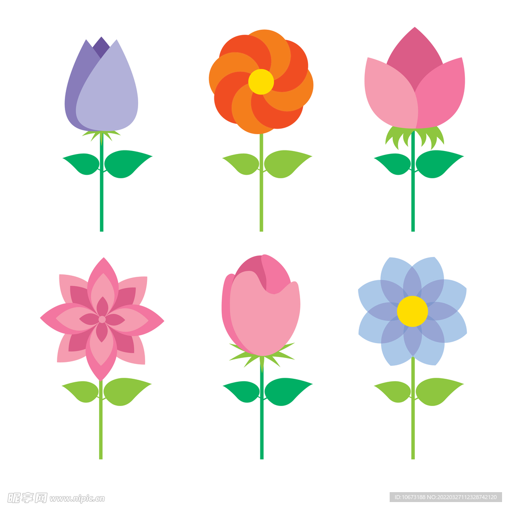 各种花朵手绘
