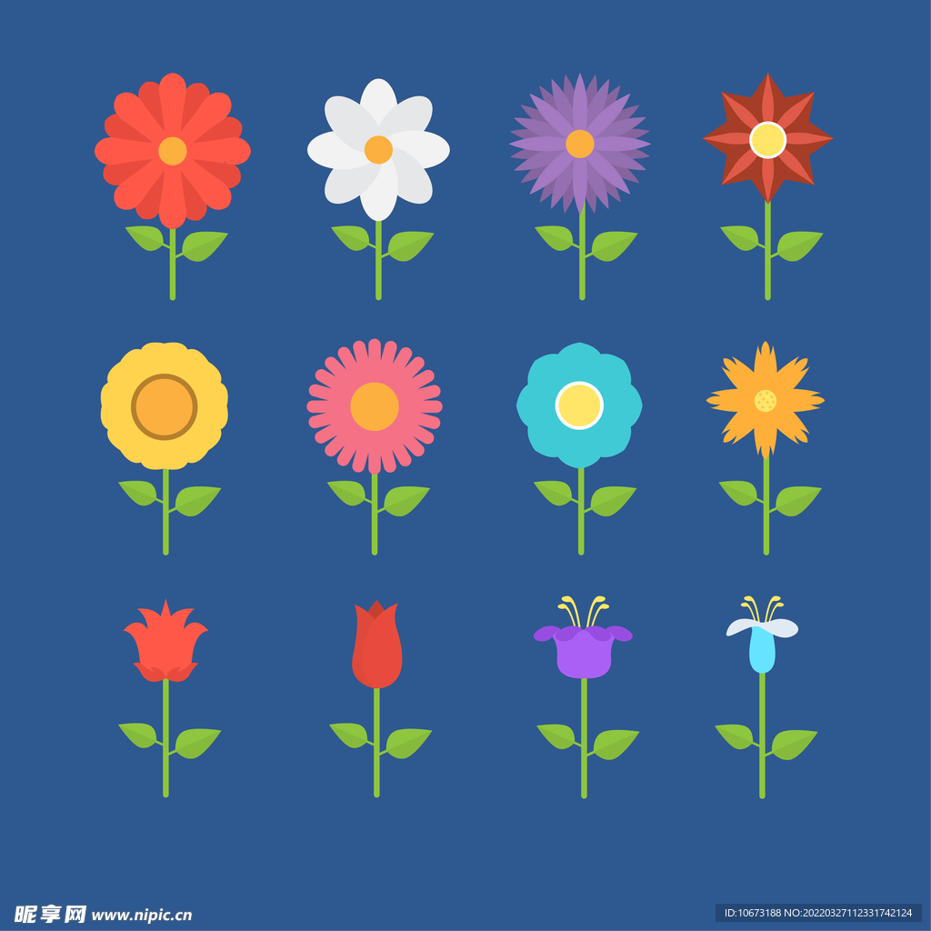 各种花朵手绘