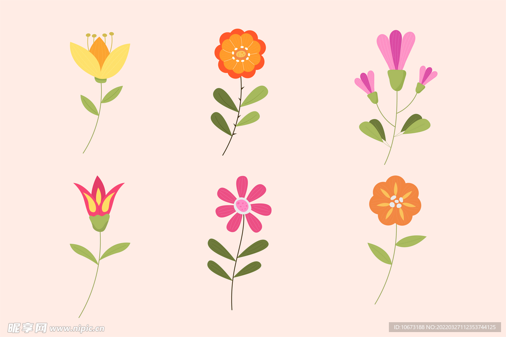 各种花朵手绘