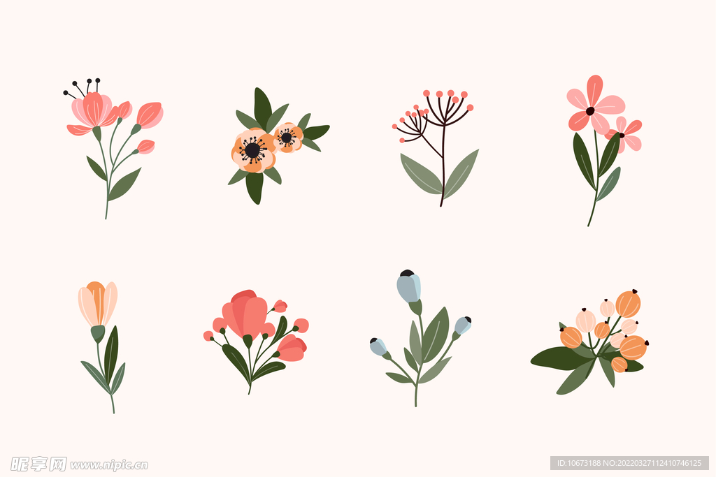 各种花朵手绘