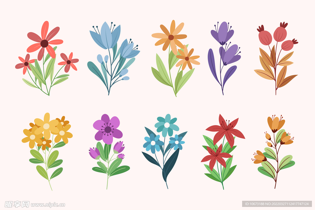 各种花朵手绘