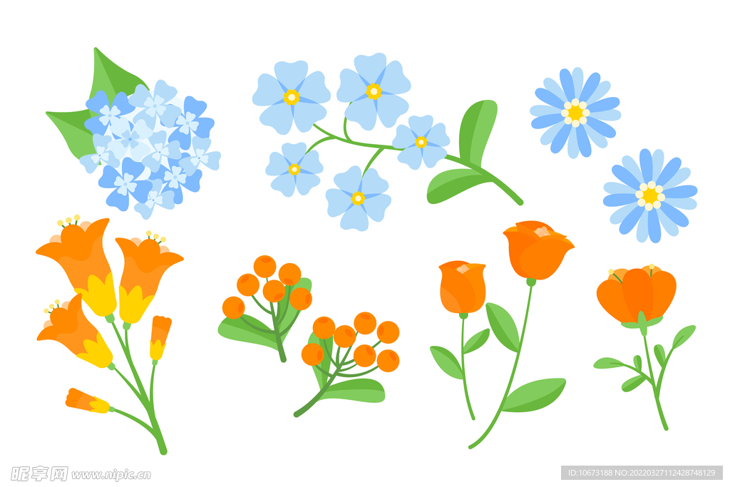 各种花朵手绘