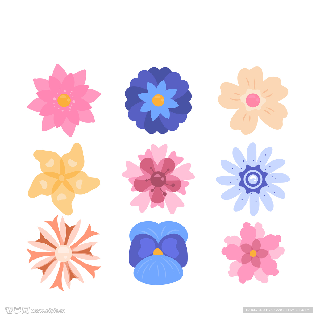 各种花朵手绘 