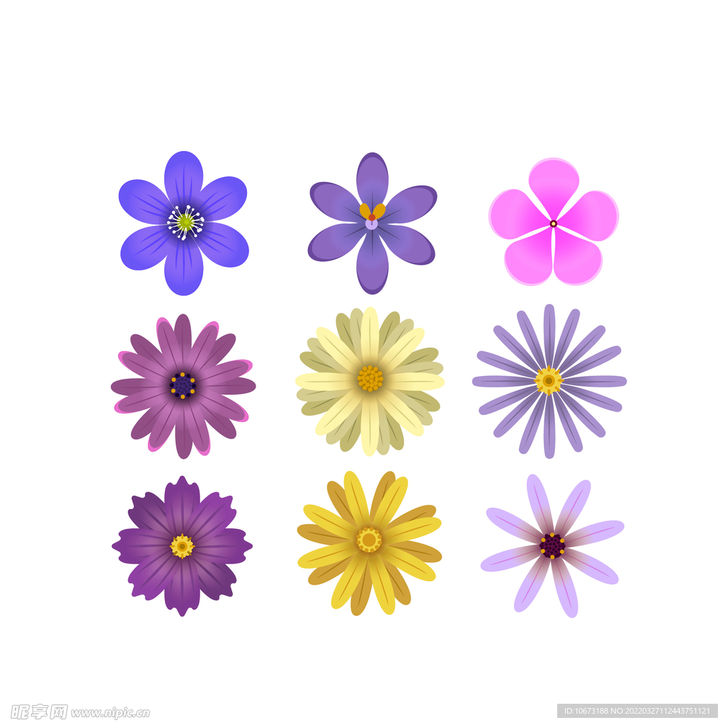 各种花朵手绘 