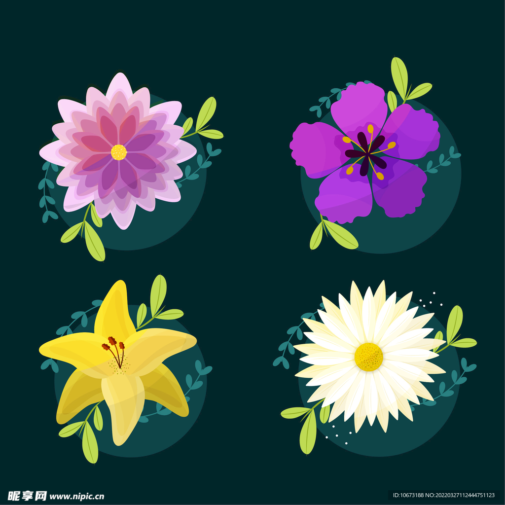 各种花朵手绘 