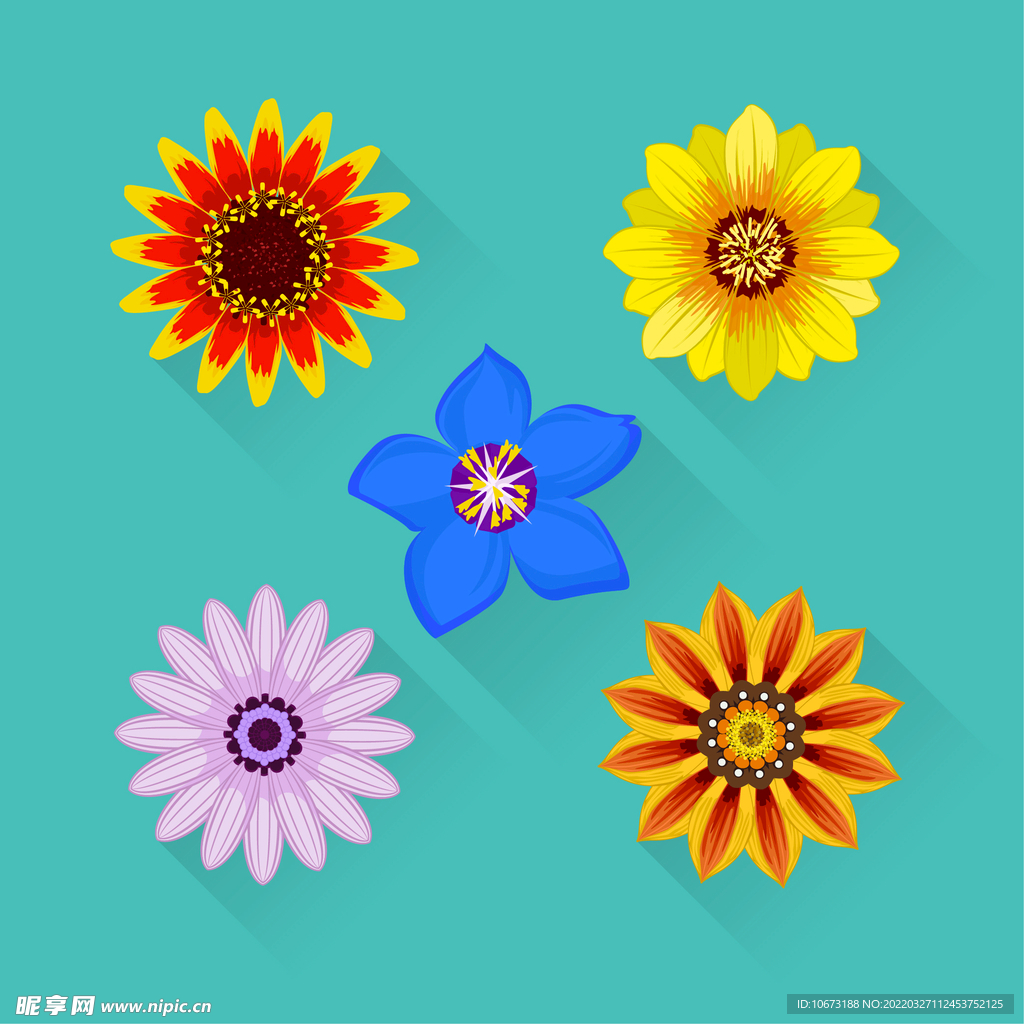 各种花朵手绘 