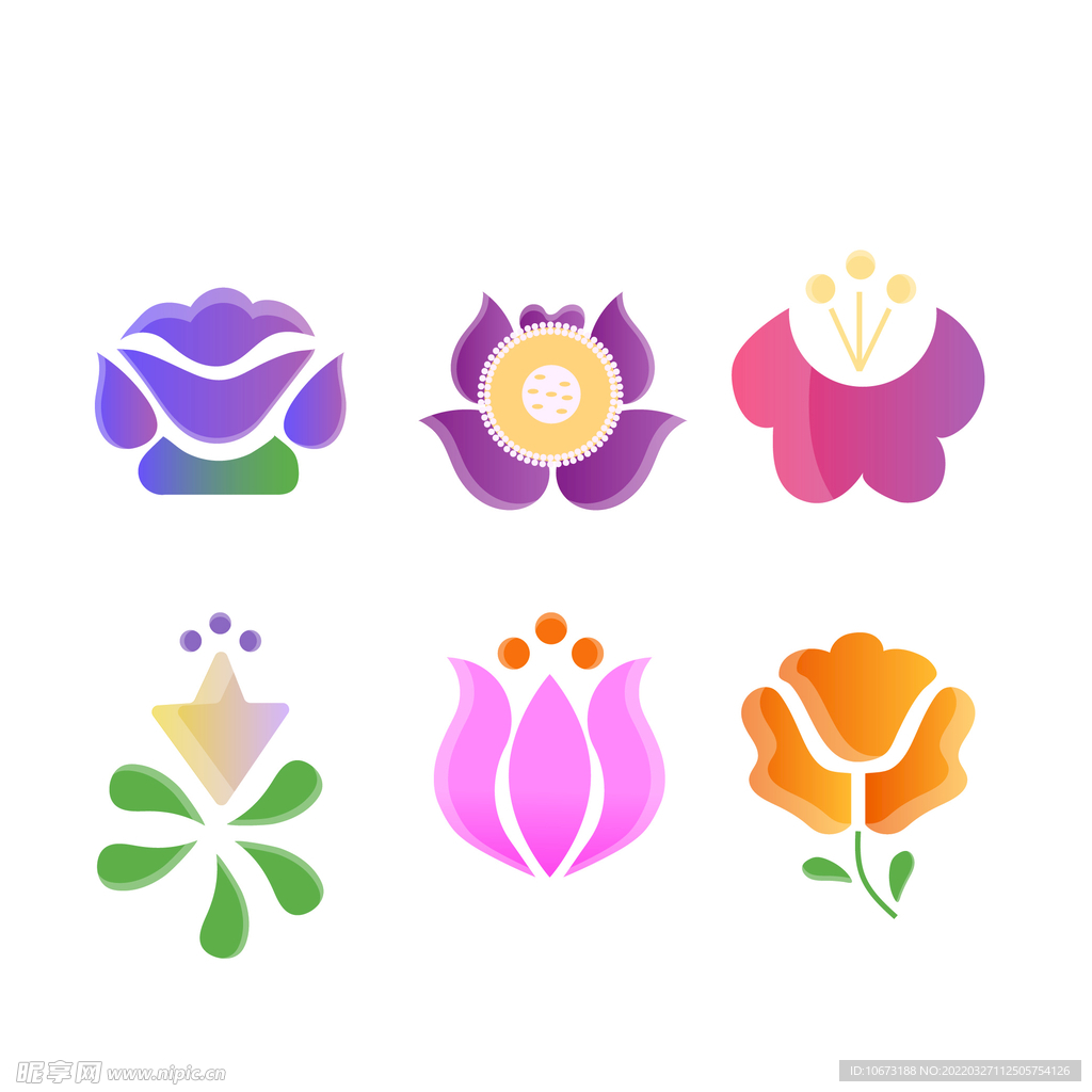 各种花朵手绘
