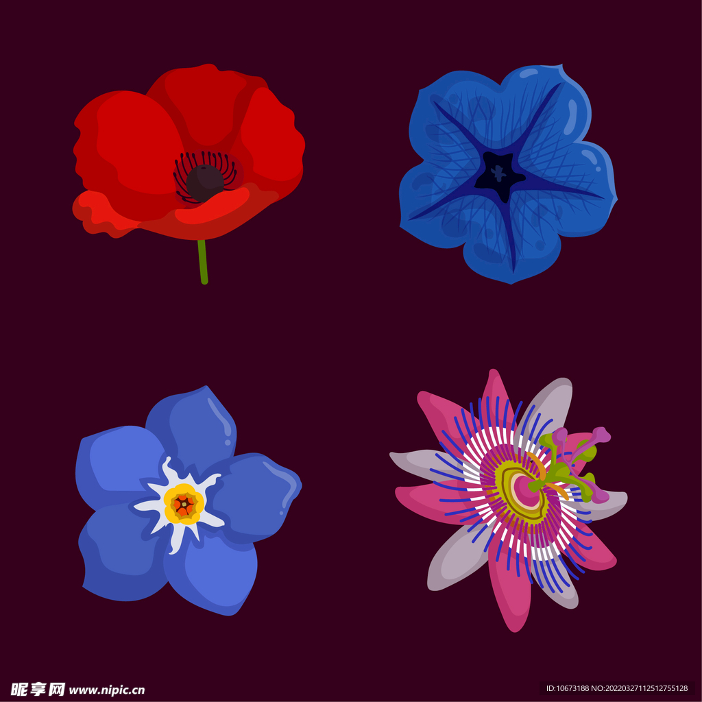 各种花朵手绘 
