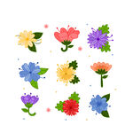各种花朵手绘