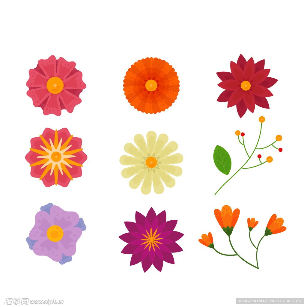 各种花朵手绘