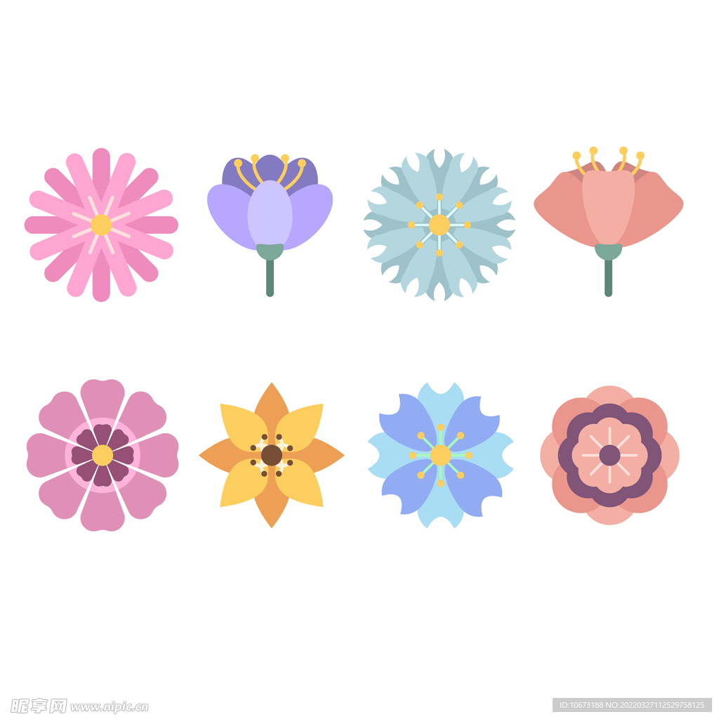 各种花朵手绘 