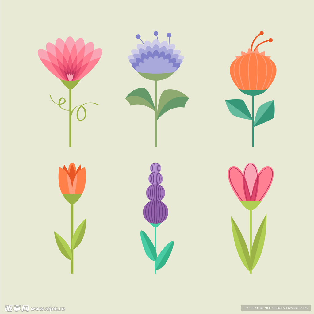 各种花朵手绘 