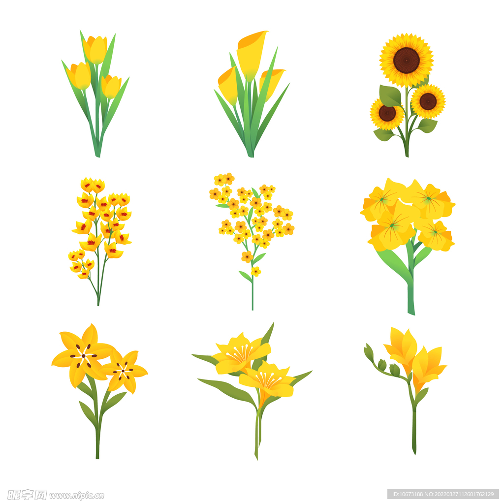 各种花朵手绘 