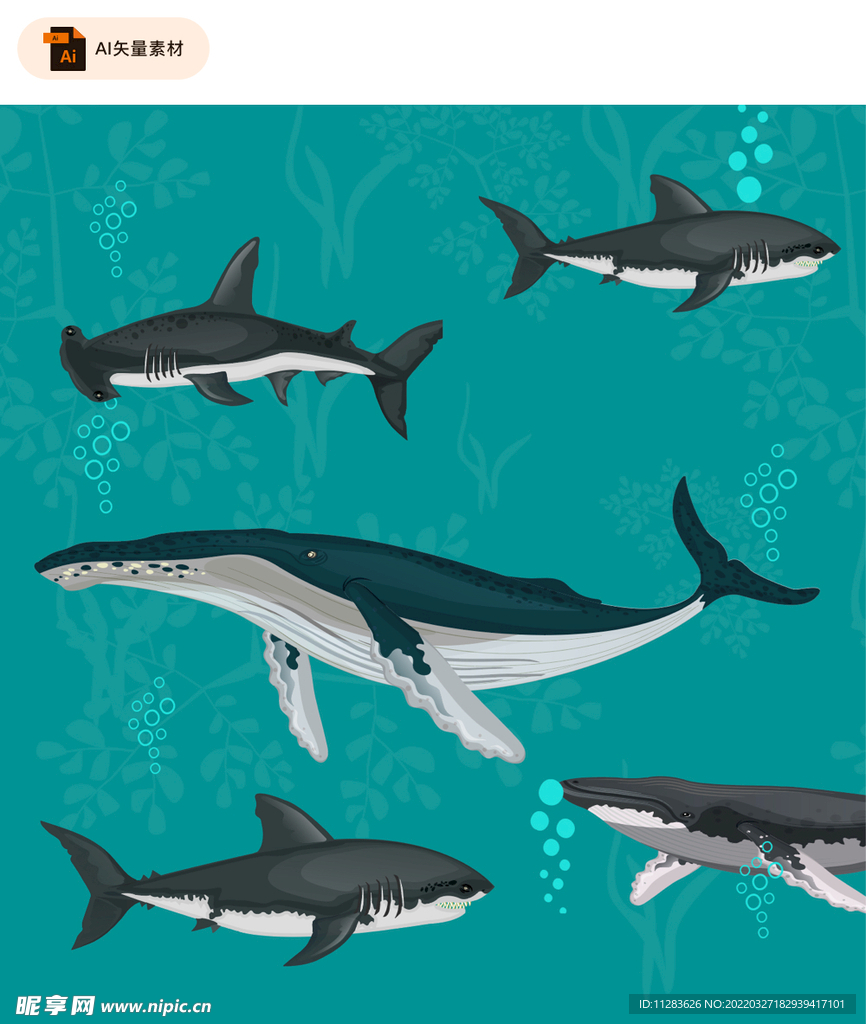 海洋生物矢量素材