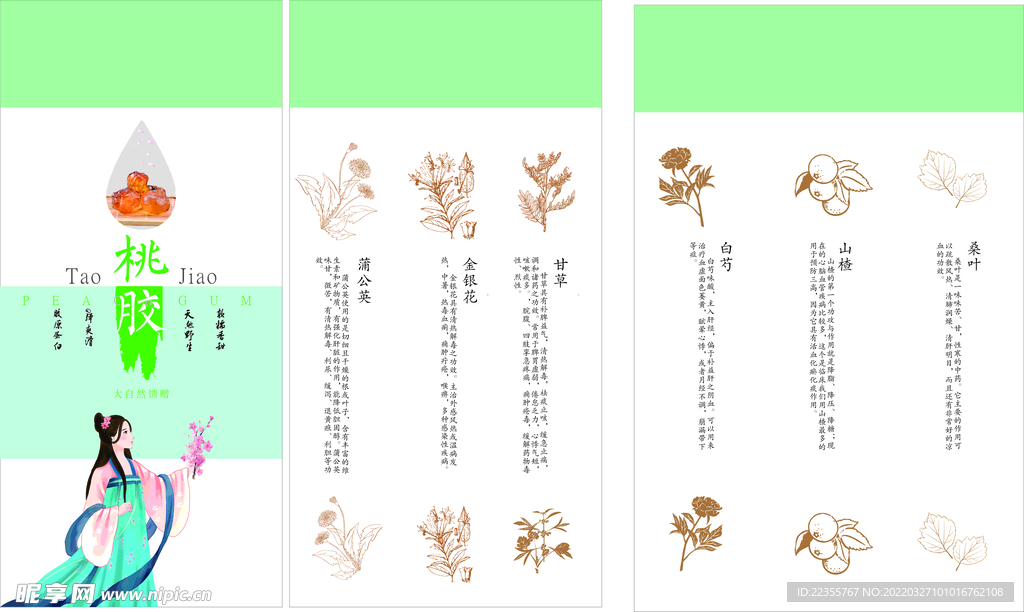 山楂  甘草图