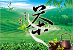 茶山背景图