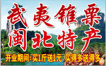 武夷锥粟