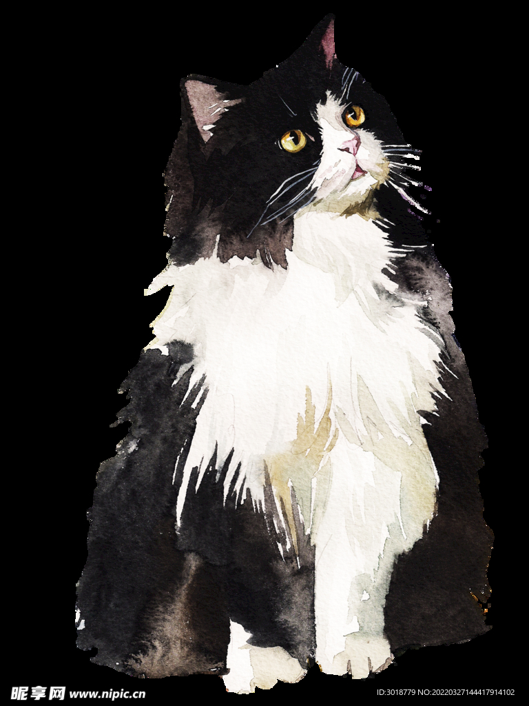 猫 