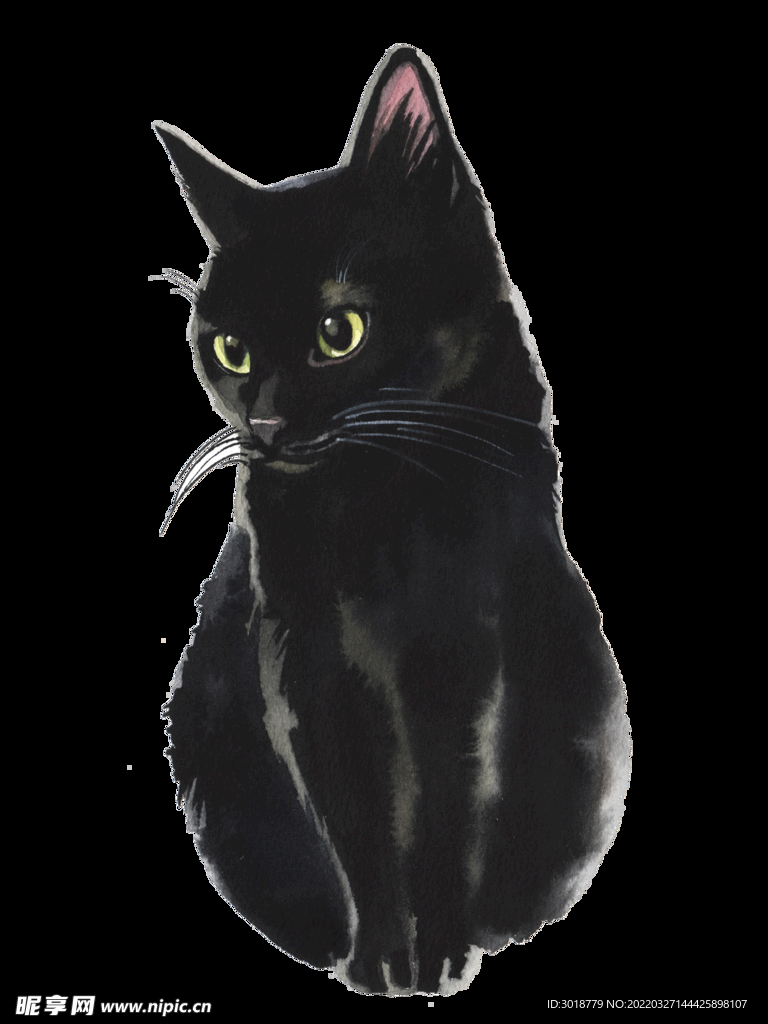 猫 