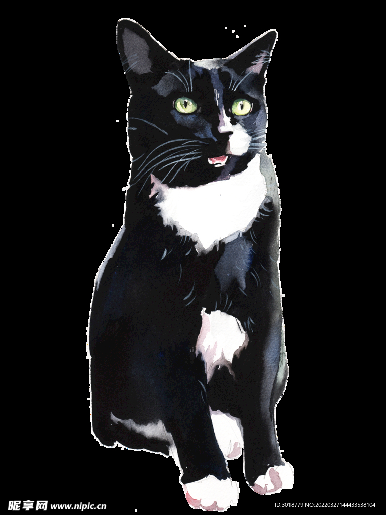 猫 
