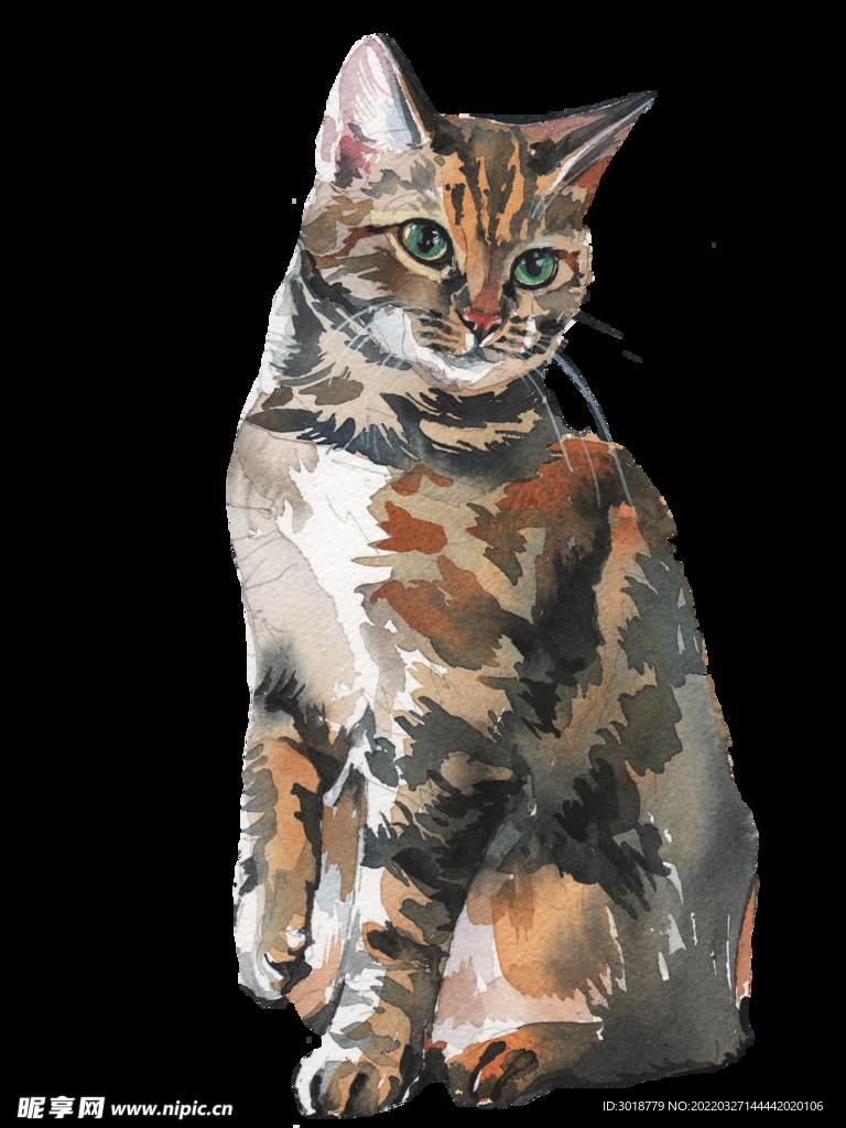 猫 